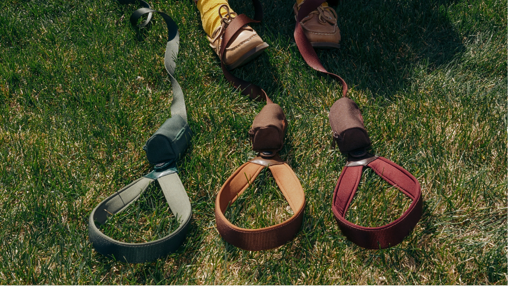 three different colors of nicely designed leashes on grass