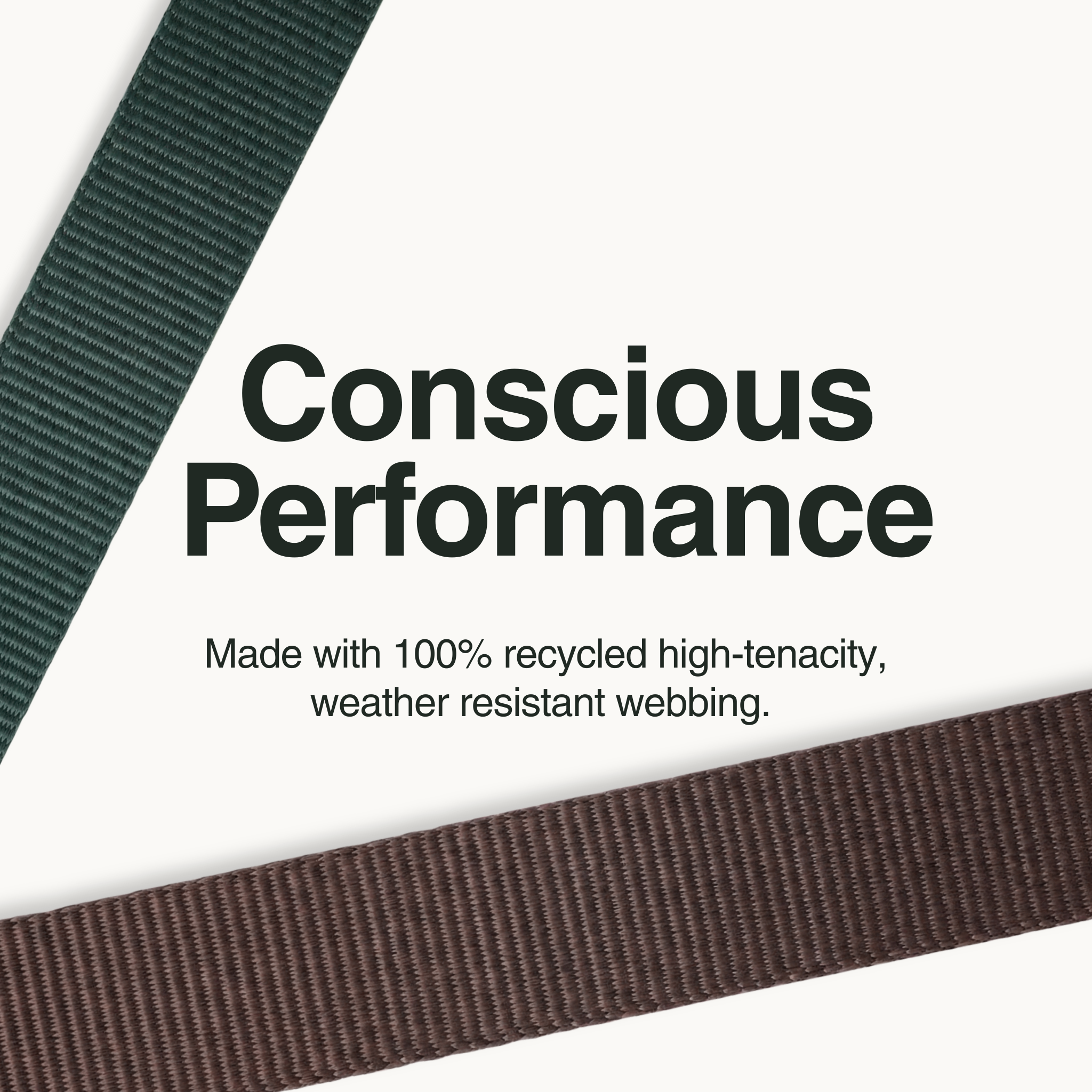 close-up of 100% recycled polyester webbing used for a weather resistant dog leash